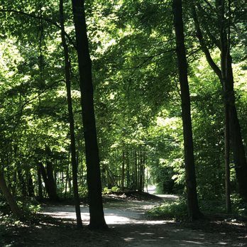 Erindale Park - Trail - Parks Near Me - Mississauga, Ontario Erindale Park - Trail - Parks Near Me - Mississauga, Ontario