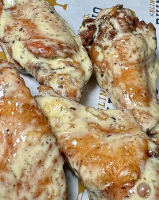 The Blind Rhino - Bridgeport by null