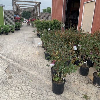 The Green Gate - Nurseries & Gardening Near Me - Seguin, Texas