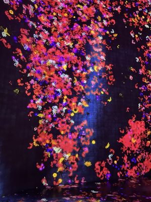 teamLab Borderless: MORI Building DIGITAL ART MUSEUM by null