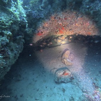 Scuba Works - Scuba Diving Near Me - Jupiter, Florida