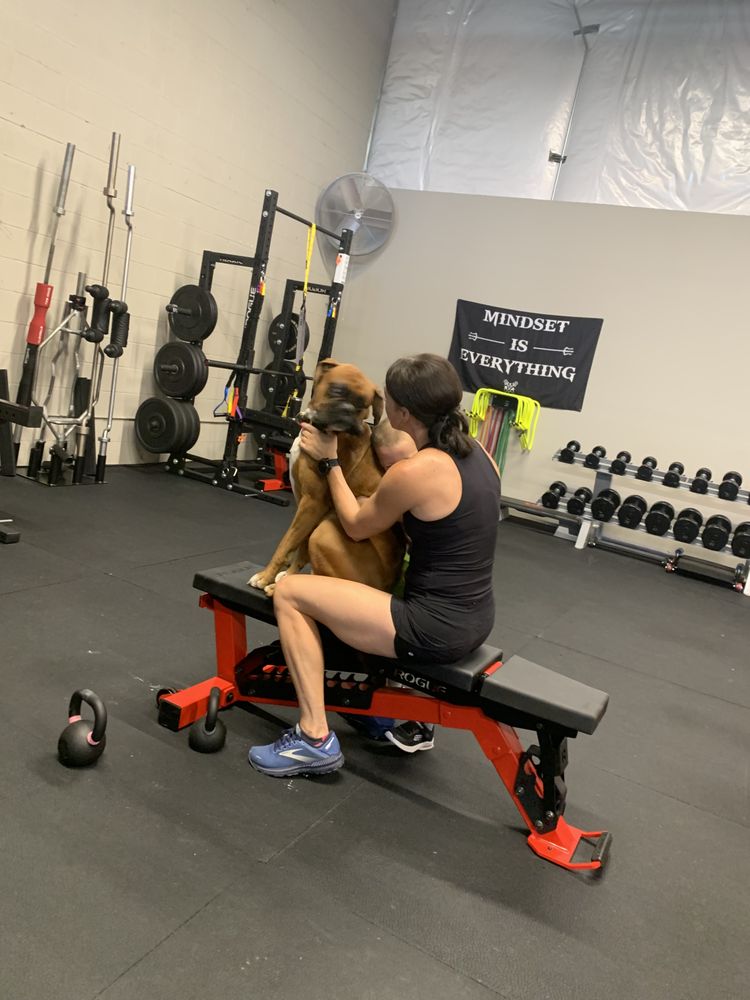 Chain Reaction Performance Logo