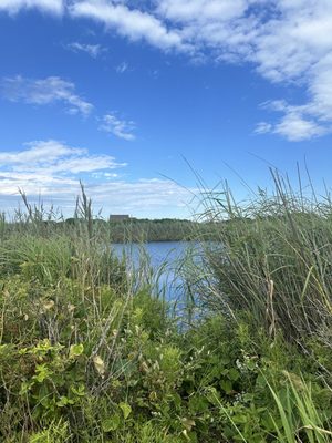 Shadmoor State Park by null