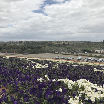 The Flower Fields - Venues & Event Spaces Near Me - Carlsbad, California The Flower Fields - Venues & Event Spaces Near Me - Carlsbad, California