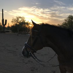 Osoready Equestrian Center