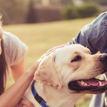 Peaceful Pet Passage - Care unlike any other - Pet Cremation Services Near Me - Mechanicsburg, Pennsylvania Peaceful Pet Passage - Care unlike any other - Pet Cremation Services Near Me - Mechanicsburg, Pennsylvania