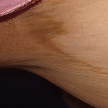 Tulsa Surgical Arts - Cosmetic Surgeons Near Me - Tulsa, Oklahoma Tulsa Surgical Arts - Cosmetic Surgeons Near Me - Tulsa, Oklahoma
