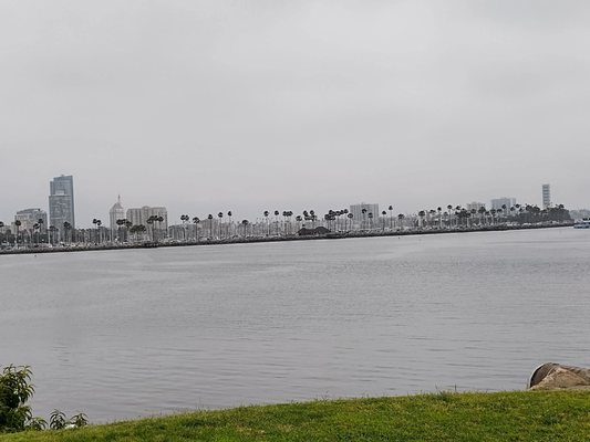 Harry Bridges Memorial Park by null