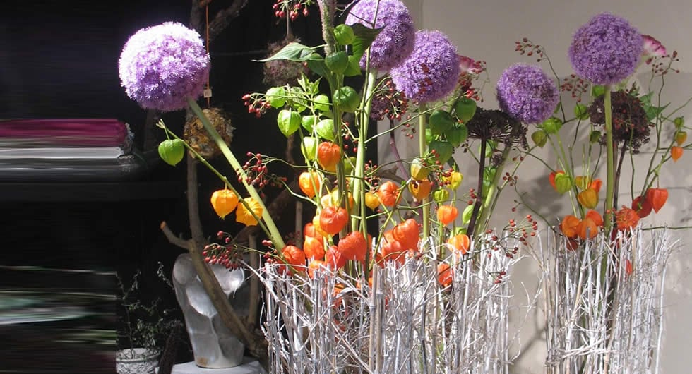 KRAUT & ROSEN Updated July 2024 Mörfelder Landstr. 129133