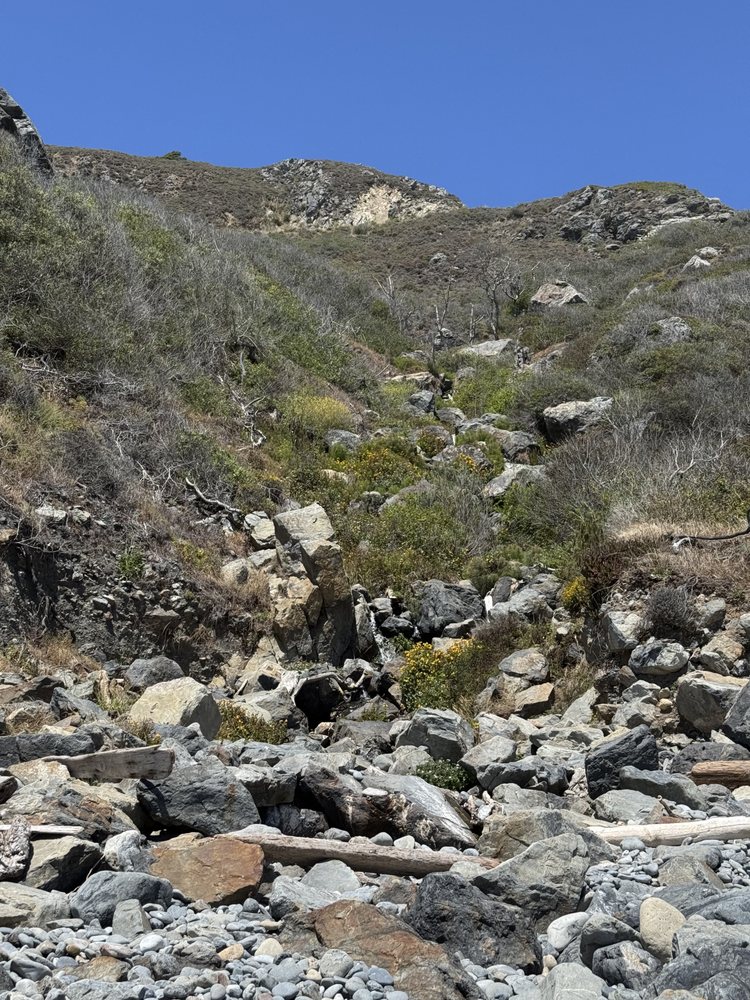 Steep Ravine Beach Logo