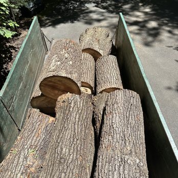 Secure Arbor - We remove a dead oak tree - Tree Services Near Me Secure Arbor - We remove a dead oak tree - Tree Services Near Me