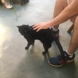 I hope you get to meet Spooky, the resident cat when you visit! He pretty much never leaves the porch!