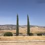 Photo of Kern Motel