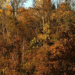 Burgruine Altweilnau