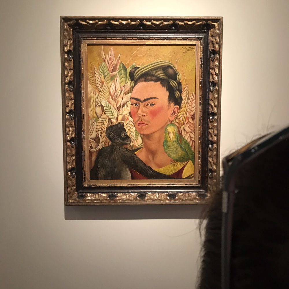 MALBA - Fundación Costantini - Museums Near Me - Buenos Aires, C