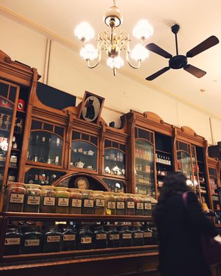 El Gato Negro by null