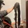 Photo of Ron the Sewer Rat