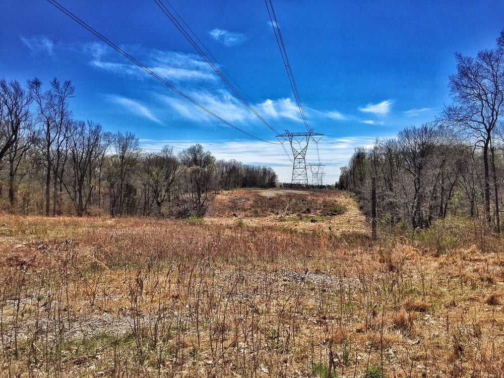 6 Mile Run State Park - equestrian in Somerset, NJ