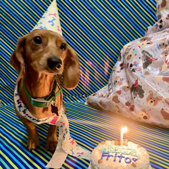 Dexter's Deli - Birthday cake - Pet Stores Near Me - San Diego, California Dexter's Deli - Birthday cake - Pet Stores Near Me - San Diego, California
