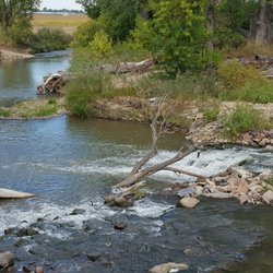 Poudre River Trail - Poudre river along the trail
