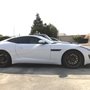Photo of Jaguar Purrformance Center