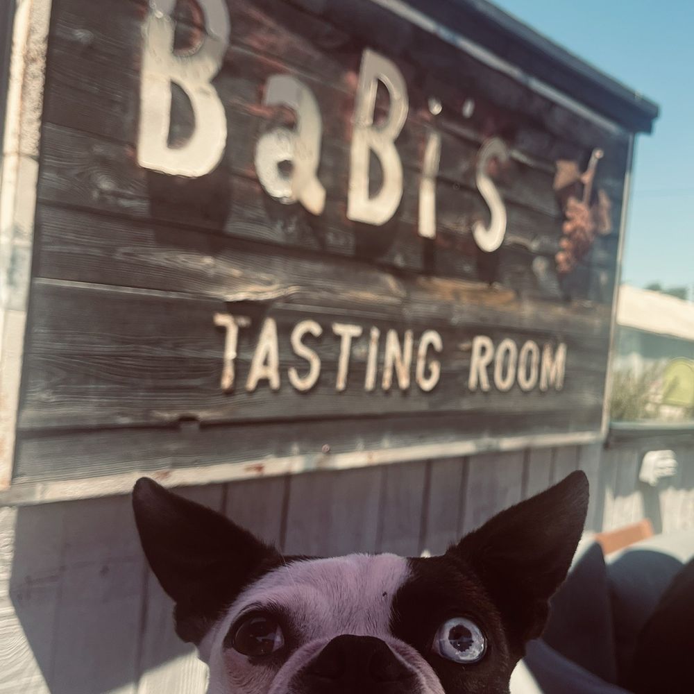 Mushu approved! Amazing chicken wings & beer/wine. Dog friendly atmosphere. Mushu approved! Amazing chicken wings & beer/wine. Dog friendly atmosphere.