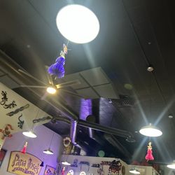 Papa Jose's Union Cafe