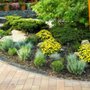 Affordable Landscaping and Pools
