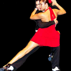 Latin Dancer Studio
