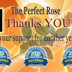 The Perfect Rose