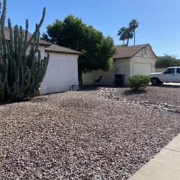 ** directly in front of the cactus is where the old Bougainvillea was that they removed
