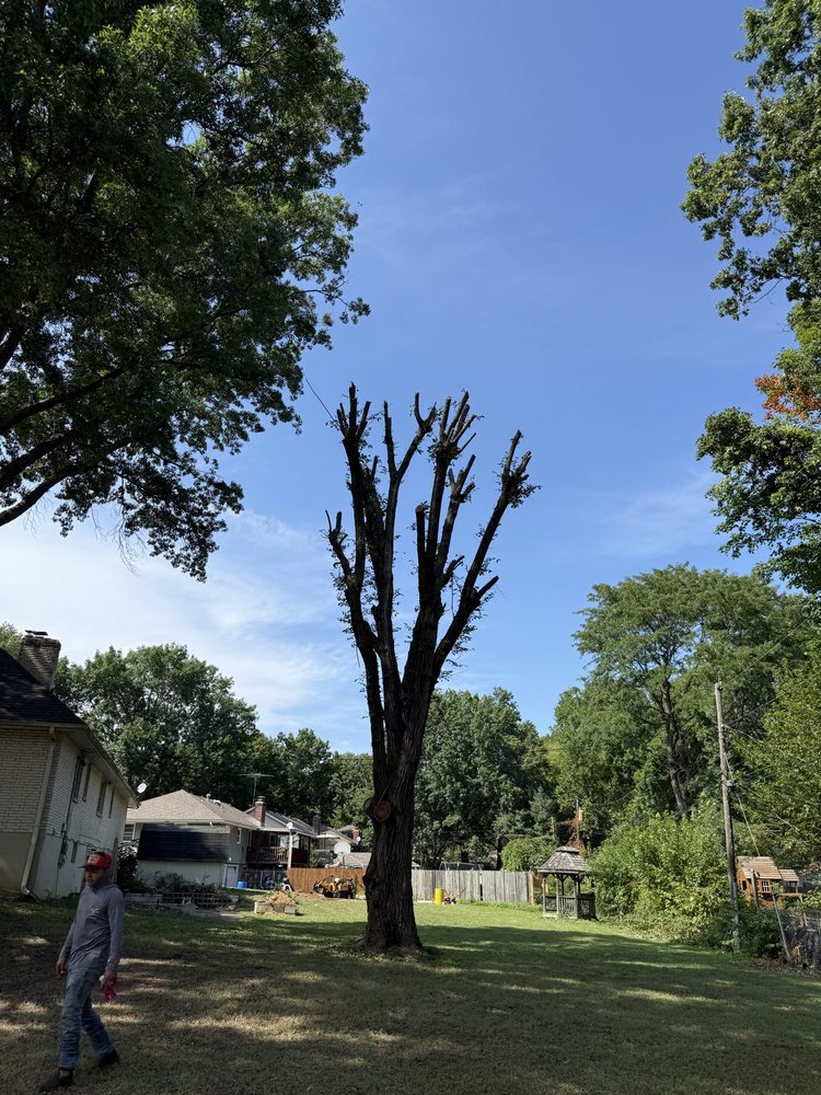 CRIST TREE SERVICES - Updated June 2026 - Kansas City, Kansas - Tree ...