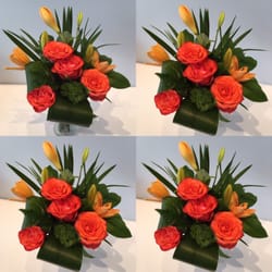 Luda Flower Salon