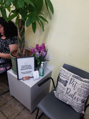 paw shoppe long beach