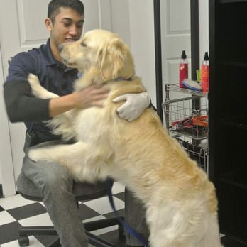 Jet Pet Resort YVR - Pet Sitting Near Me - Richmond, British Columbia