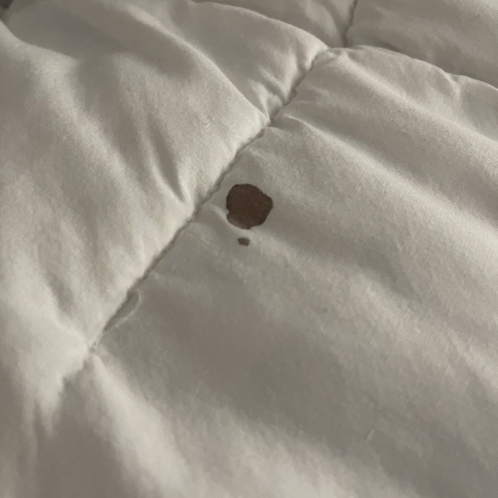 Maybe a blood stain...I vote blood stain. Maybe a blood stain...I vote blood stain.