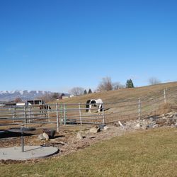 Butterfly Ranch Stable