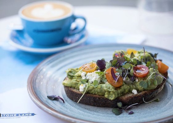 Bluestone Lane Harvard Square Café by null