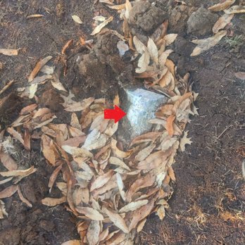 G E Elmore Contracting - Hazardous Debris placed in a made hole in my yard by the contractor. - Masonry/Concrete Near Me G E Elmore Contracting - Hazardous Debris placed in a made hole in my yard by the contractor. - Masonry/Concrete Near Me