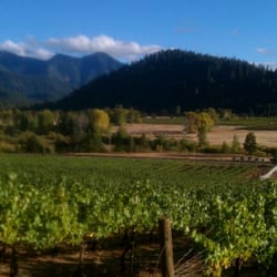 Deer Creek Vineyards - View from Deer Creek Vineyard