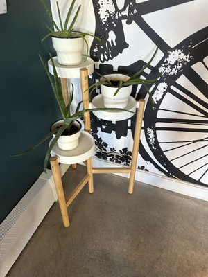 Spoke and Vine Motel by null