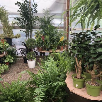 Whitfill Nursery - Indoor greenhouse - Nurseries & Gardening Near Me - Phoenix, Arizona Whitfill Nursery - Indoor greenhouse - Nurseries & Gardening Near Me - Phoenix, Arizona