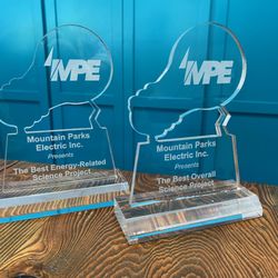 Omni Graphics - We designed, carved out and laser engraved these custom awards!