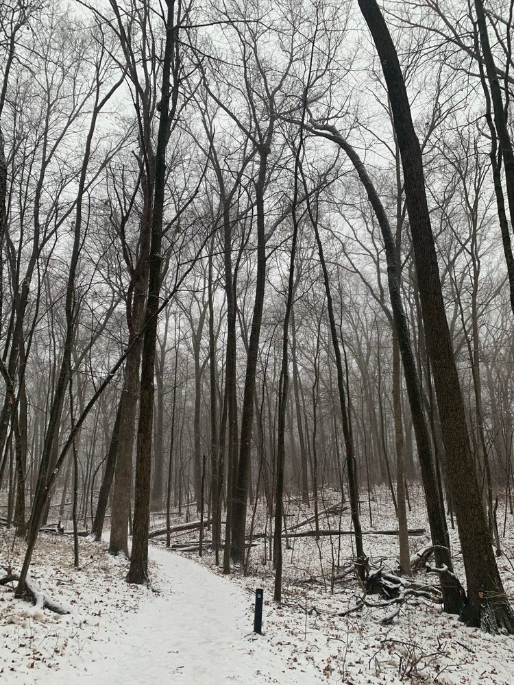 BRIGHTON STATE RECREATION AREA Updated August 2024 30 Photos & 23 Reviews 6360 Chilson Rd