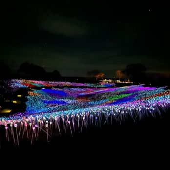 Sensorio - Field of light rainbow - Art Galleries Near Me - Paso Robles, California