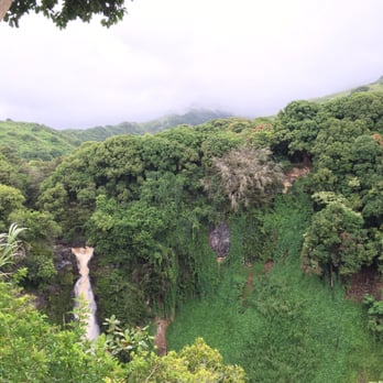 Pipiwai Trail - View from the viewing area of the first 200 ft Makahiku waterfall. - Hiking Near Me - Hana,, Hawaii