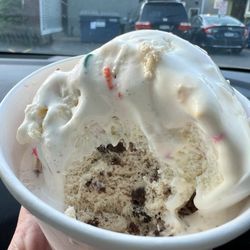 The Delmar Scoop