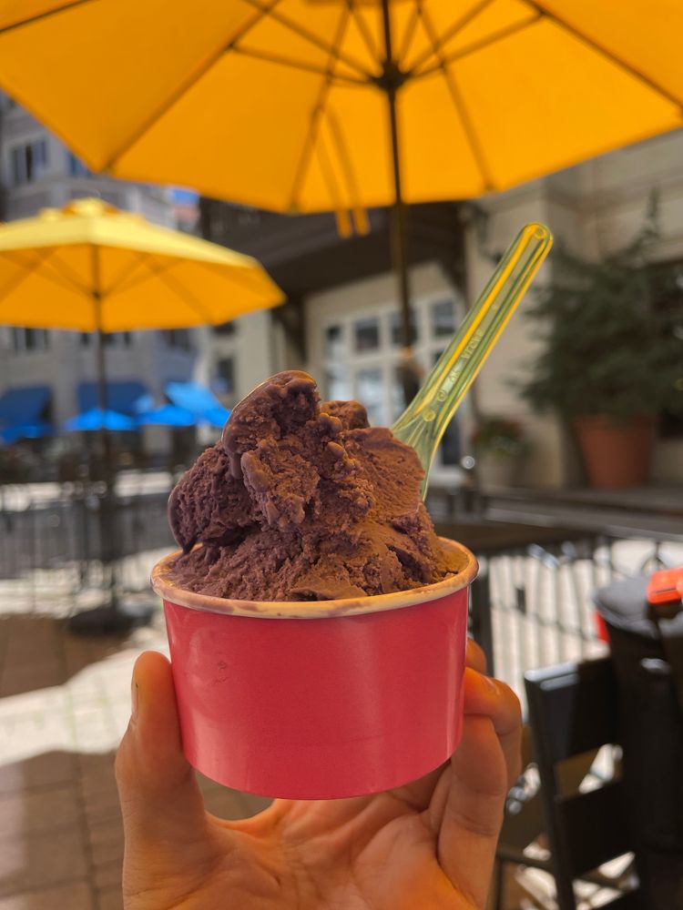 RIMINI GELATO 97 Photos & 121 Reviews 675 Lionshead Pl, Vail, CO Yelp