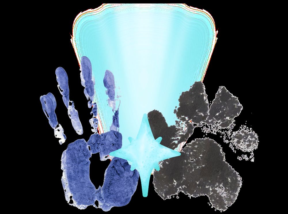 North Star Counseling - grief counselor in West Warwick, RI