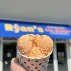 Ryan's Homemade Ice cream - Orange Pineapple
